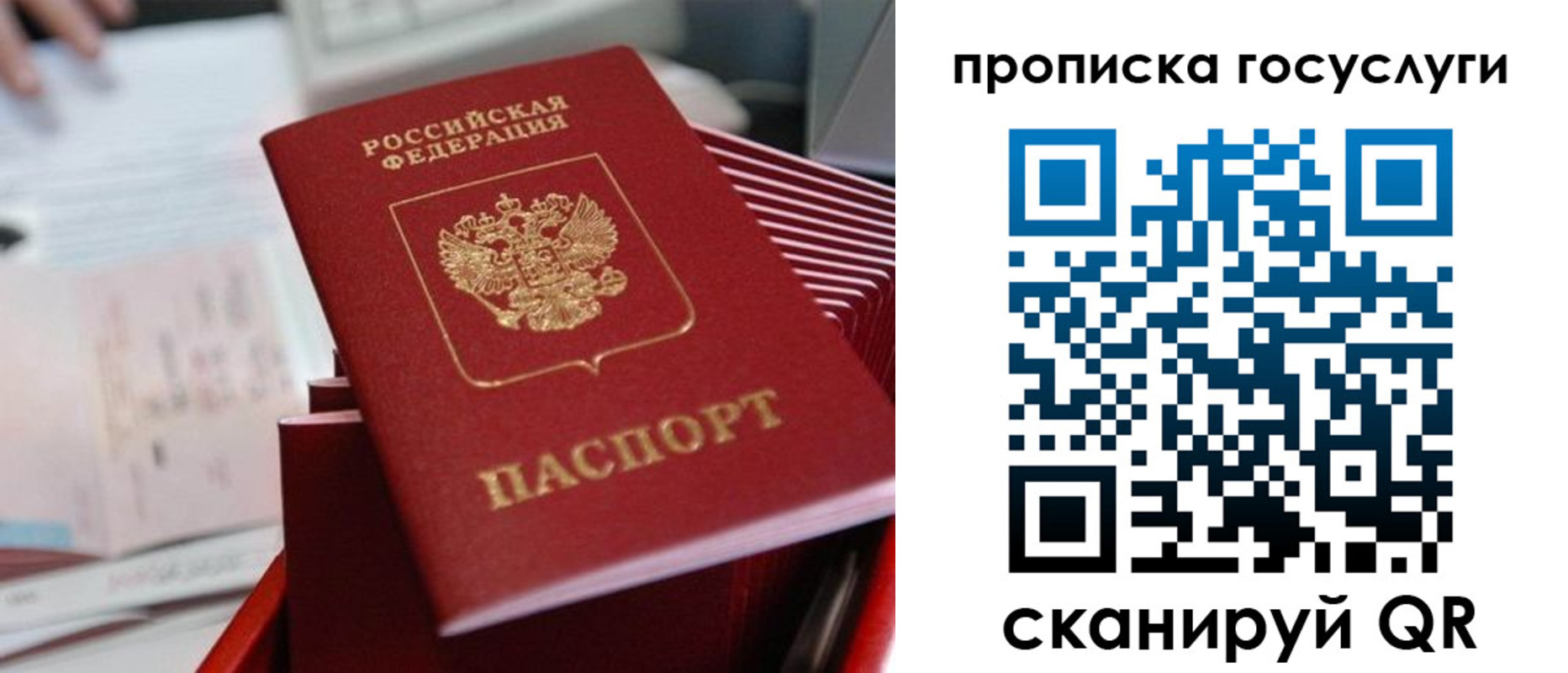 прописка законно в Котельниково